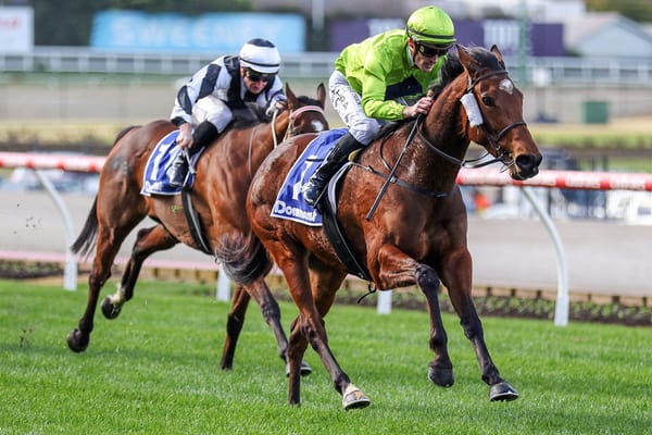 Duchess eyes Melbourne Cup