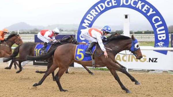 Monza looking for redemption at Cambridge
