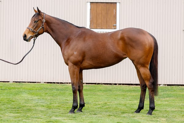 James salutes Prowess as Gavelhouse Plus auction begins
