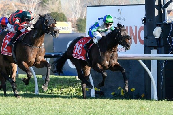 Skew Wiff on target for Tarzino Trophy defence