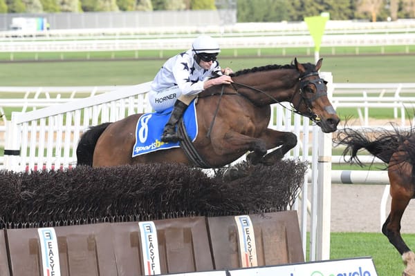 The Good Fight dominates Grand National