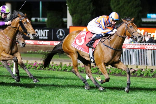 Te Akau and Fortuna out in force on Flemington’s big stage