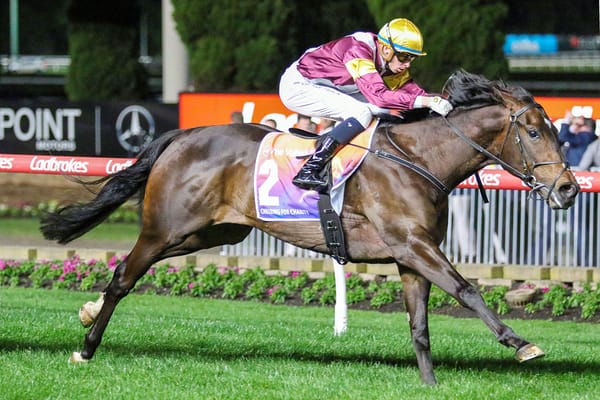 Hayes bullish on Evaporate in Guineas