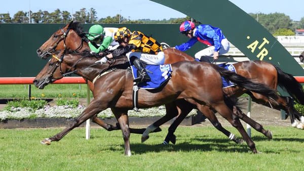Group One middle distance test is ahead of Habana