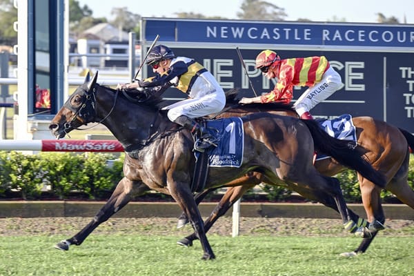 Shock returns to Victorian racing