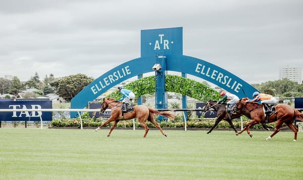 Ellerslie is given green light for racing’s return
