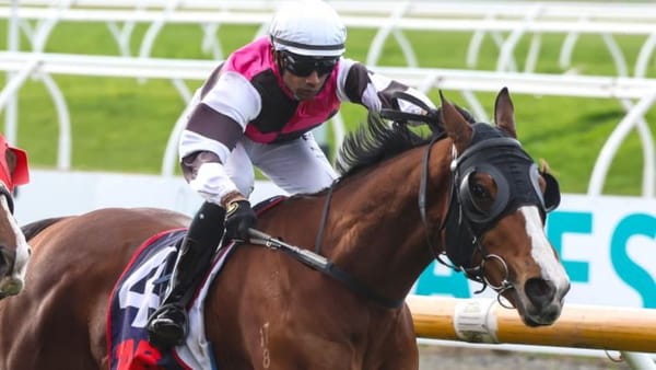 Master Marko takes Riccarton feature
