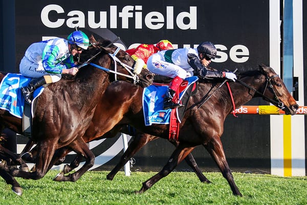 Mr Brightside heading to Feehan Stakes