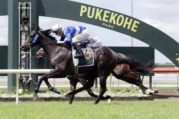 Trust In You readies for his Australian debut