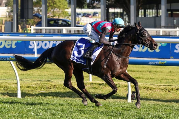 Gollan's Antino balancing act