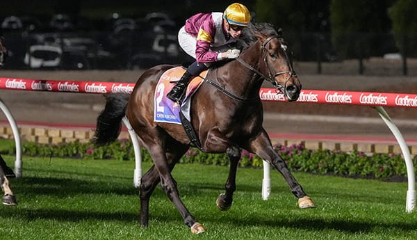 Williams' Quest for Cox Plate Glory