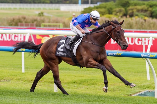 Feroce to contest Carbine Club