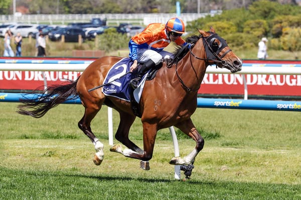 Mile proves no issue for quality mare Grinzinger Belle