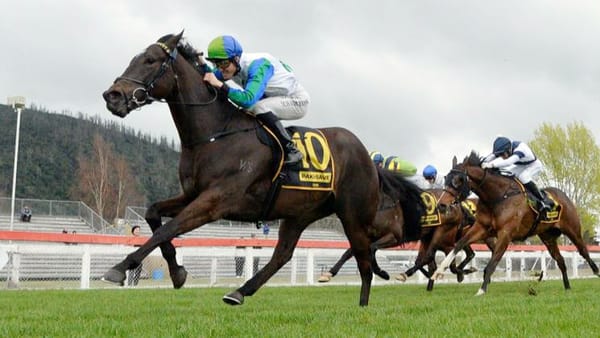 History Made With First Slot Filled for NZB Kiwi