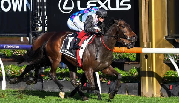 Seven rivals for Mr Brightside