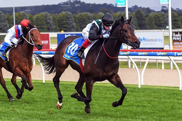 AUDIO: JD Hayes on Racing HQ