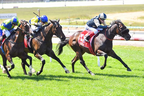 Exuberance has lived up to her name at Cranbourne