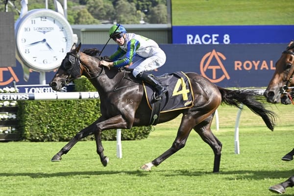Waihaha Falls Poised for New Zealand Debut