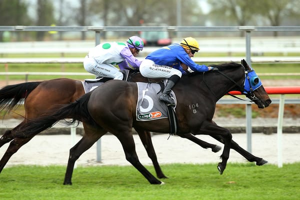 Wolfgang is pitch perfect at Matamata