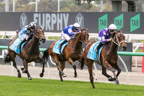 Oaks plan for Aeliana