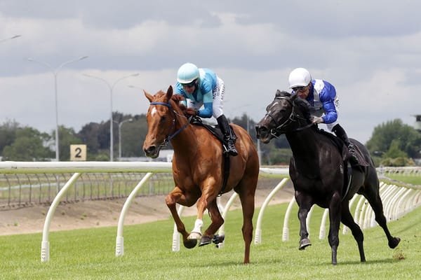 Sacred Satono back to defend Counties crown
