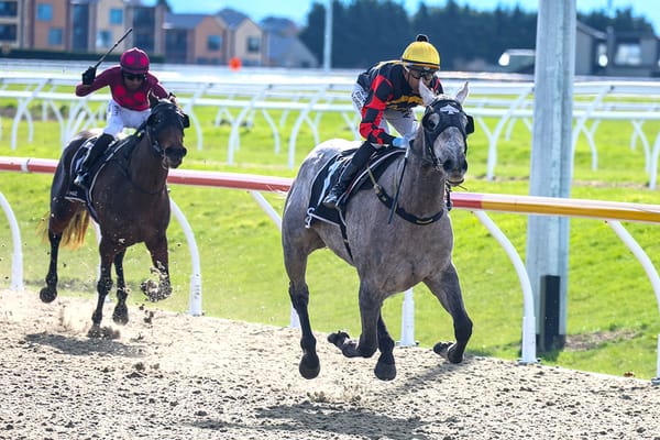 Southern stakes target beckoning Diablo Blanco