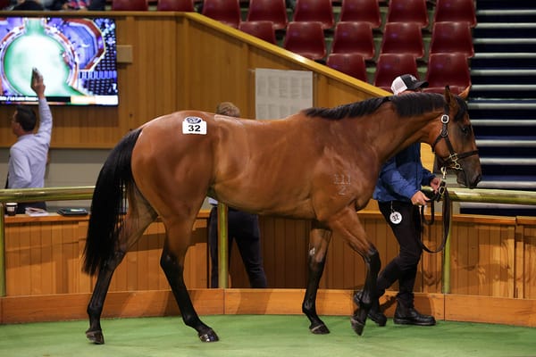 Yulong secures I Am Invincible colt
