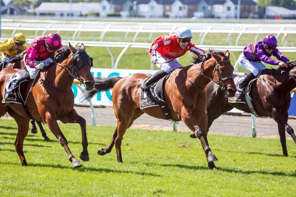 Mystic Park all class and courage in Stewards’ Stakes