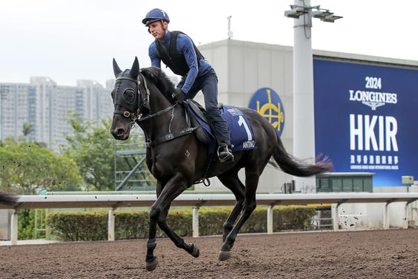Antino out to continue NZ’s golden run in HK Mile