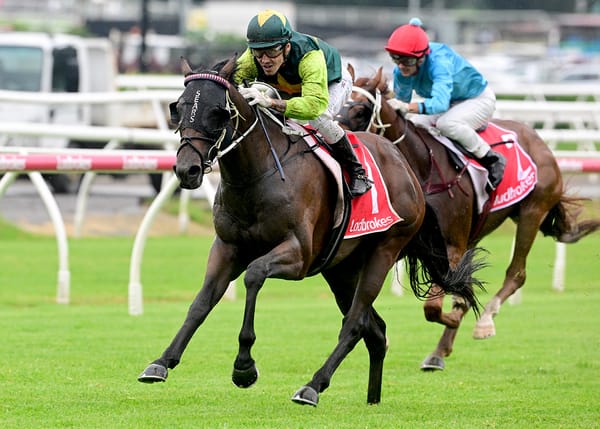 Beau Dazzler stamps Derby credentials with Grand Prix romp