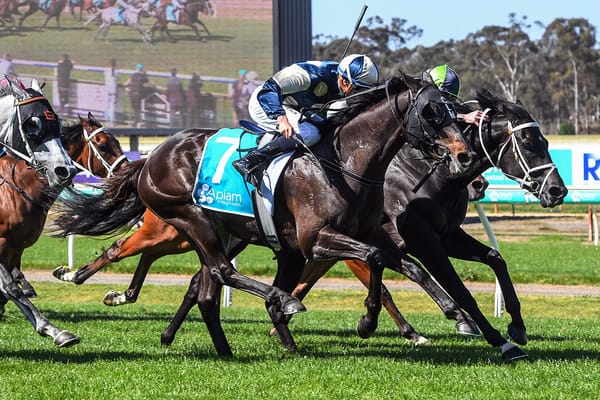 Maher keen on Wellington Cup mission with Interpretation