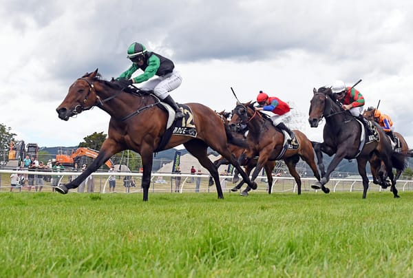 Marotiri Molly Provides Career Highlight for Trainer Matt Dixon