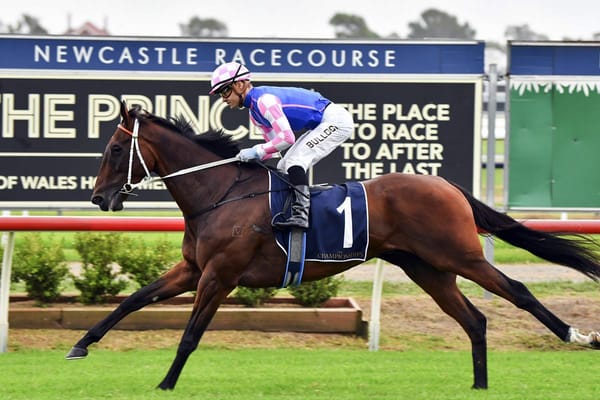 Tavi Time snares Summer Cup