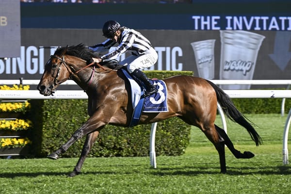 Star mare set for Westbury defence