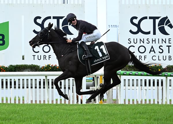 Stakes success for Elettrica