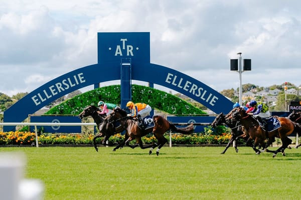 World Pool coming to Karaka Millions