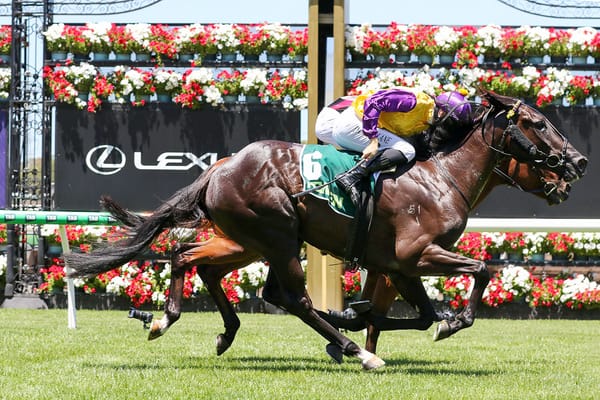 Brownes plot pathways with kiwi breds