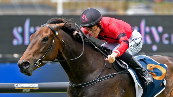 Derby mission continues for Clotworthys