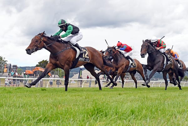 Powerful Marotiri Molly on track for Otaki feature