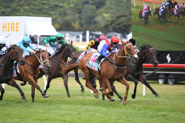 Our Echo strikes again at Trentham