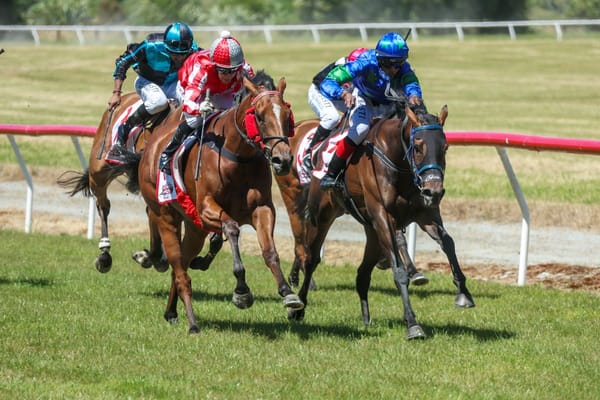 Sprocket Rocket takes off with Miss Scenicland Stakes