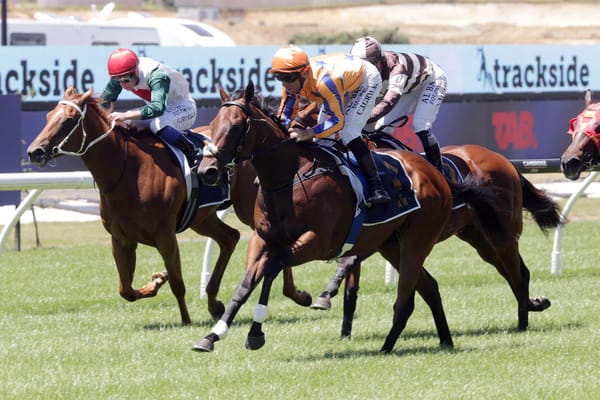 Brave colt flying Nearco flag for Millions