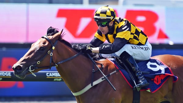 Cambridge Stud Strikes Again with Hello Youmzain Debutant
