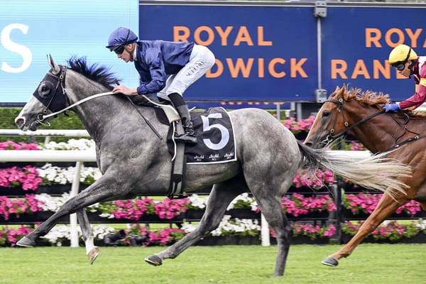 Attention aiming for Guineas