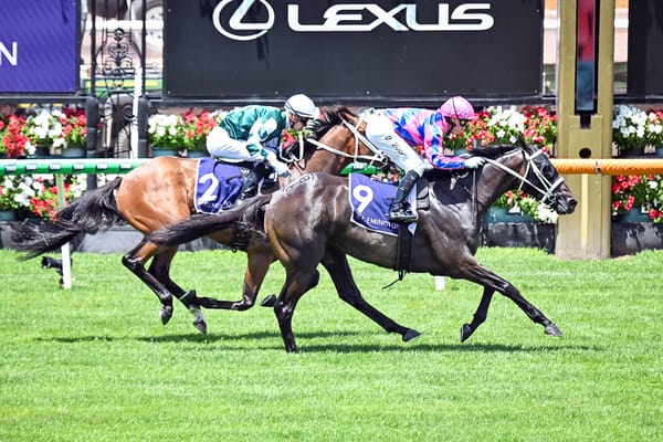 Expats Carving a New Path to the Derby