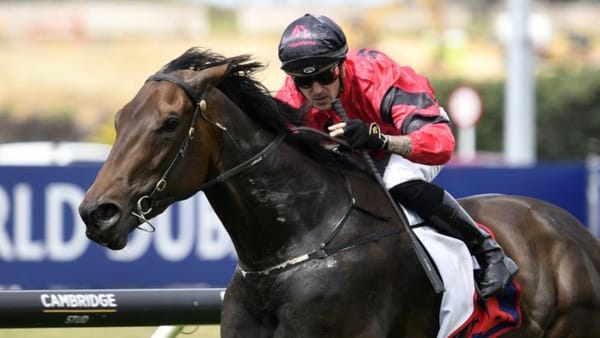 AUDIO: Shaun Clotworthy on Racing Pulse