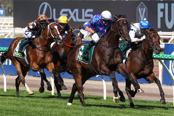 Kiwi studs celebrate Feroce’s Guineas crown 
