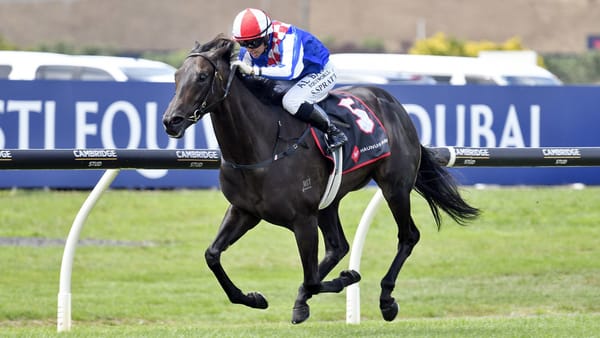 Flying Kiwi targets Flemington