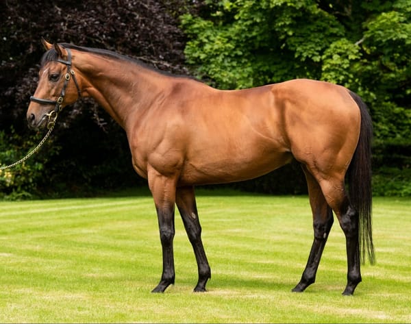 Circus Maximus filly makes winning Australian debut