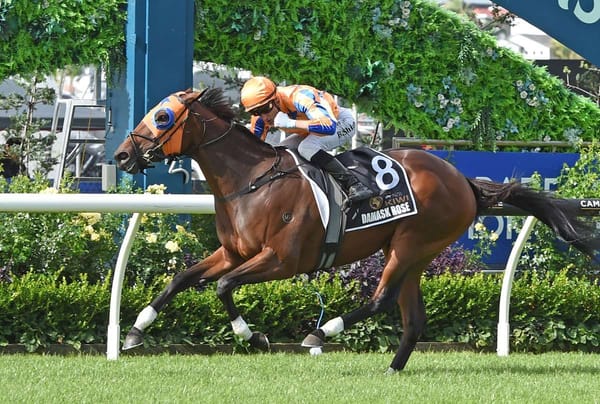 Paddock beckoning Te Akau’s Champions Day victors